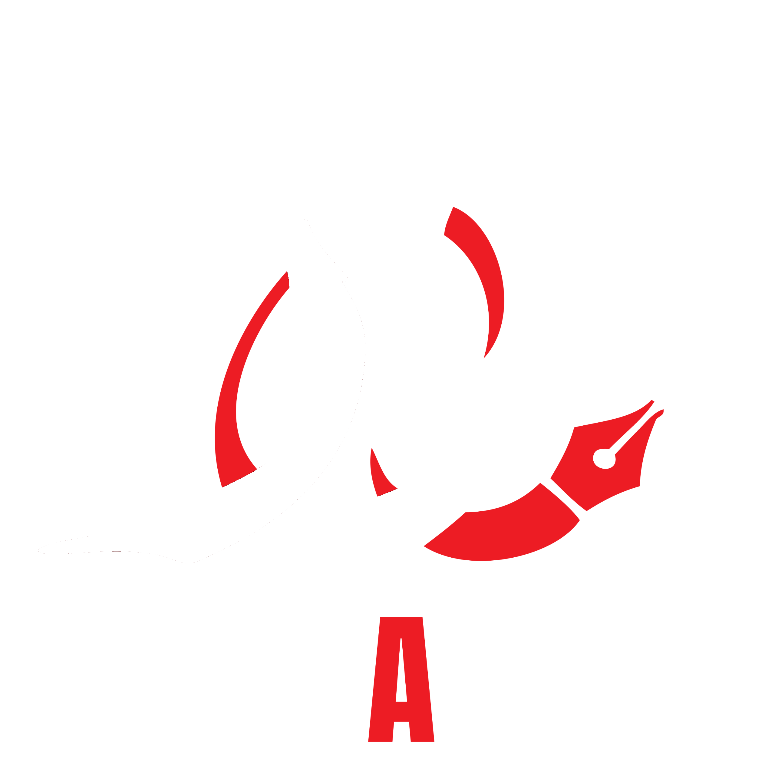 Raz Media Network